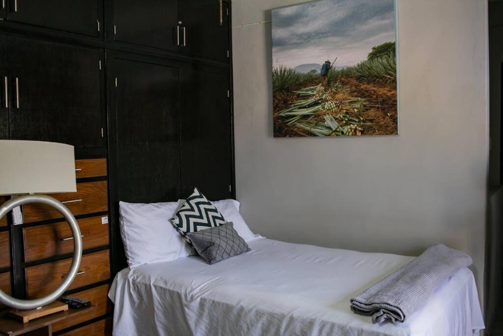 Hermoso Departamento Centrico Con Servicios Apartman Tequila Kültér fotó
