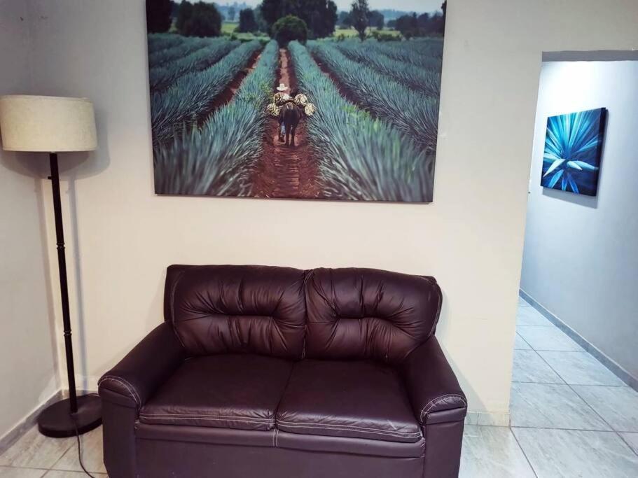 Hermoso Departamento Centrico Con Servicios Apartman Tequila Kültér fotó