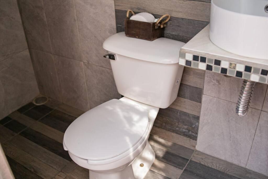 Hermoso Departamento Centrico Con Servicios Apartman Tequila Kültér fotó