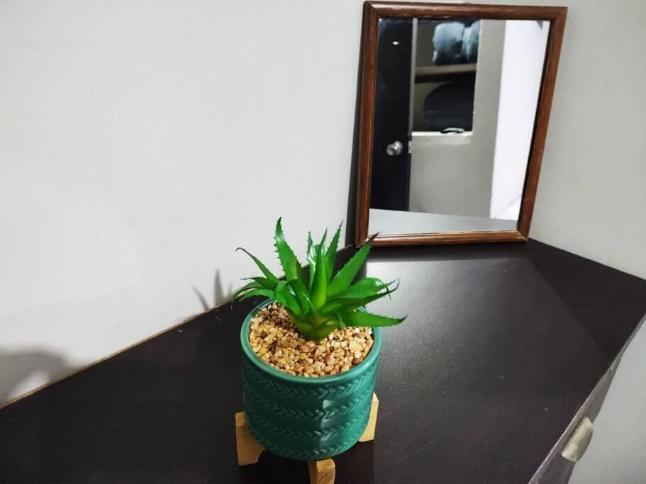 Hermoso Departamento Centrico Con Servicios Apartman Tequila Kültér fotó